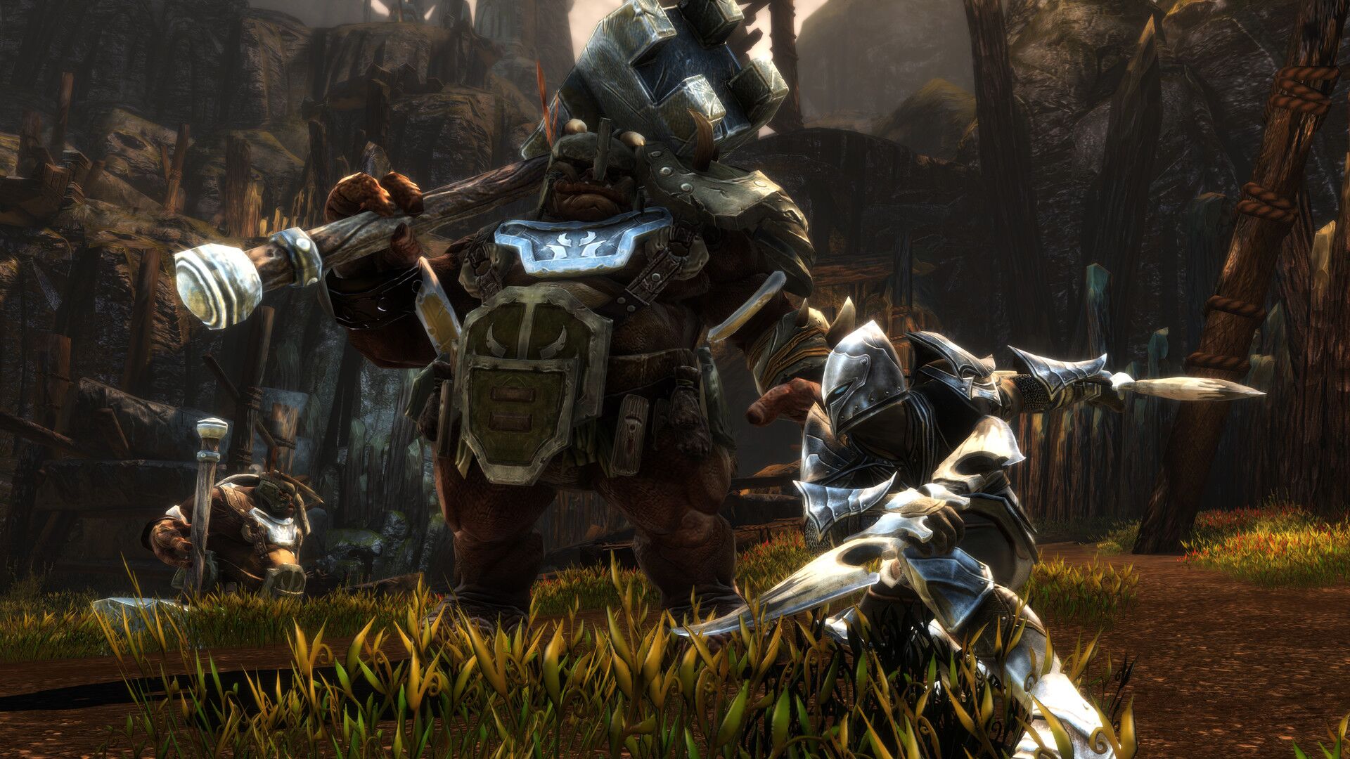 Kingdoms of Amalur Re-Reckoning PS4 oyun içi görsel 2