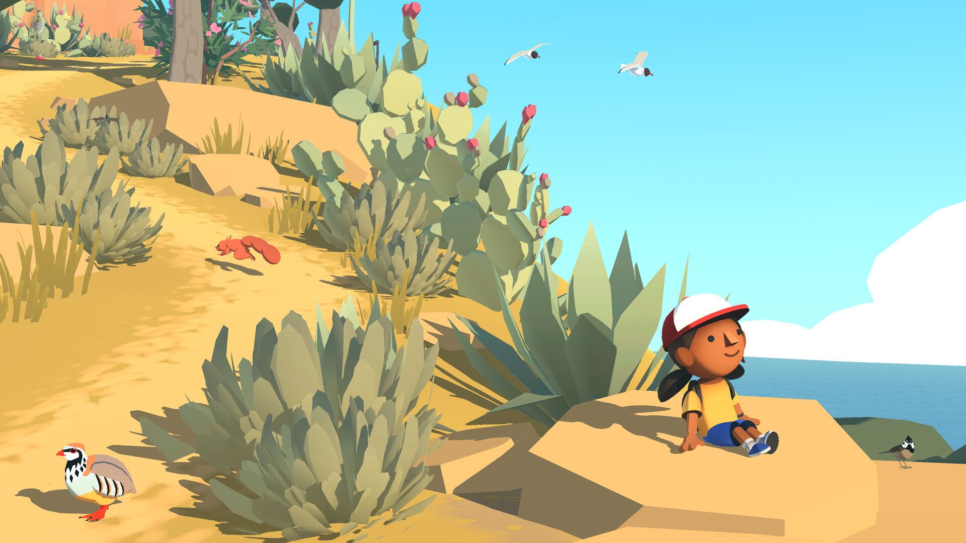 Alba A Wildlife Adventure oyun içi görsel 1