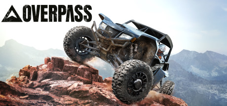 OVERPASS Steam Key