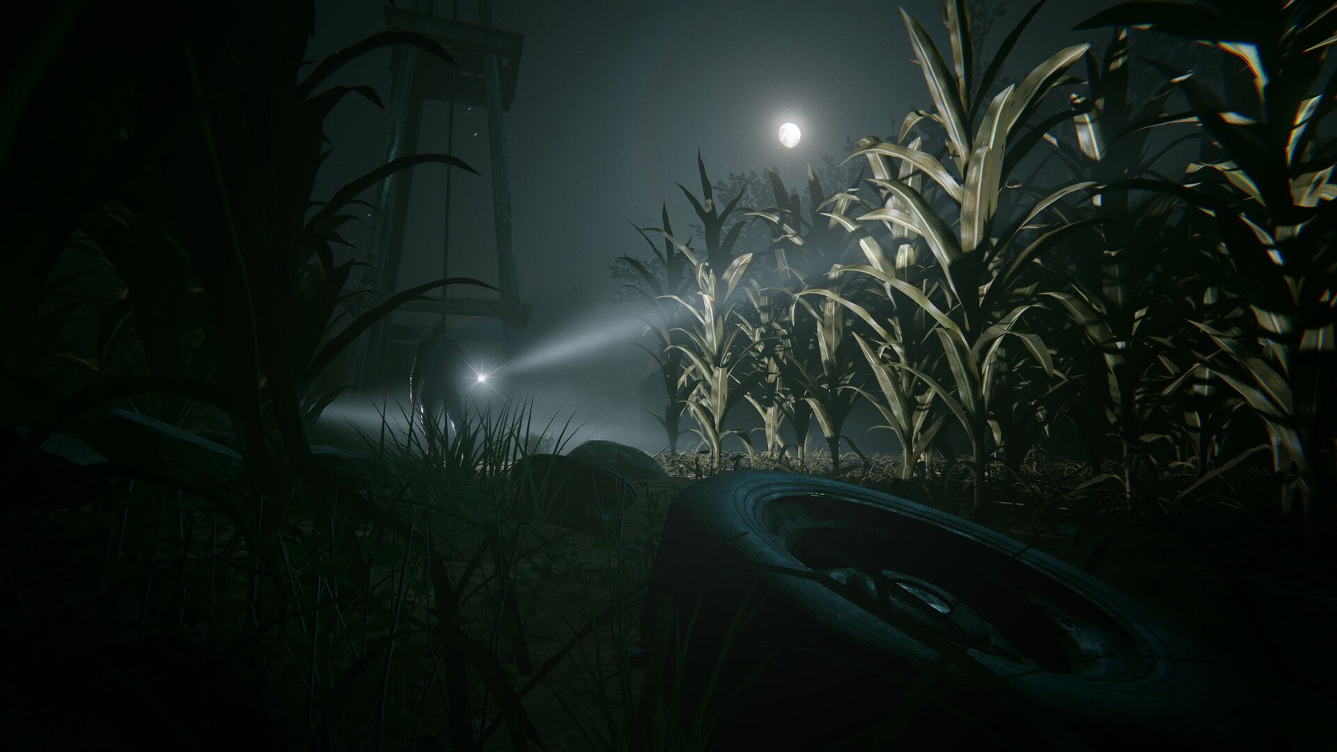 Outlast 2 XBOX One/Series X|S Key - Görsel 2