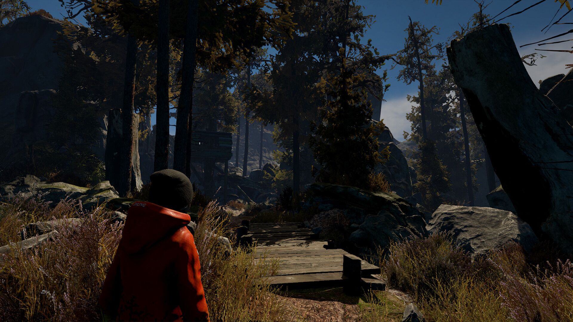 Through the Woods Steam Key oyun içi görsel 3