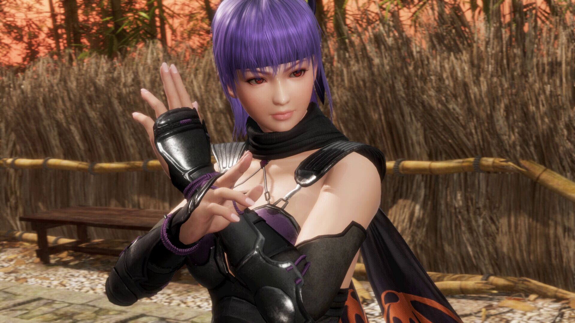 DEAD OR ALIVE 6 XBOX One/Series X|S Key - Görsel 4