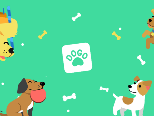 Dogo Dog Training & Clicker