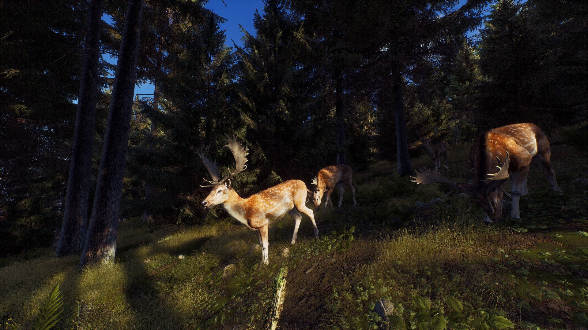 Way of the Hunter oyun içi görsel 2