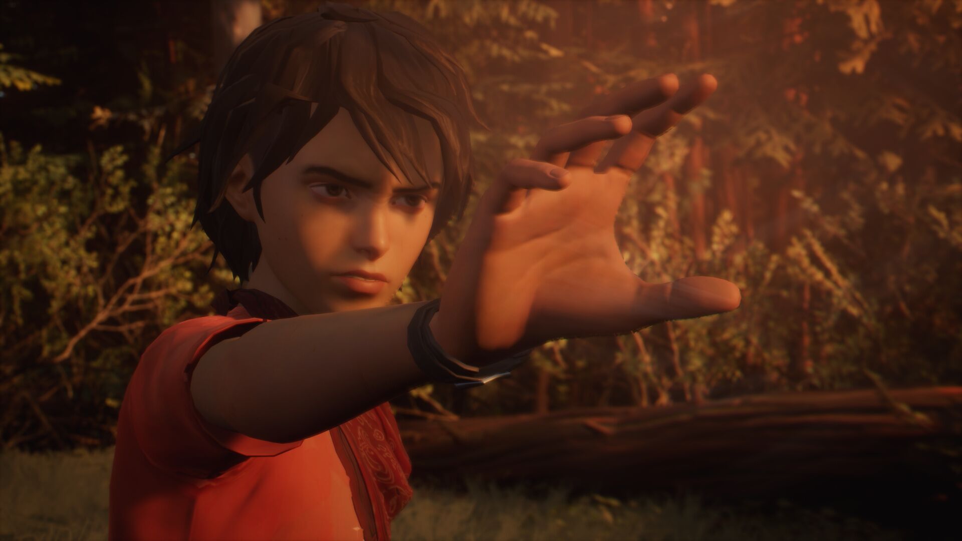 Life is Strange 2 Complete Season XBOX One/Series X|S Key - Görsel 2