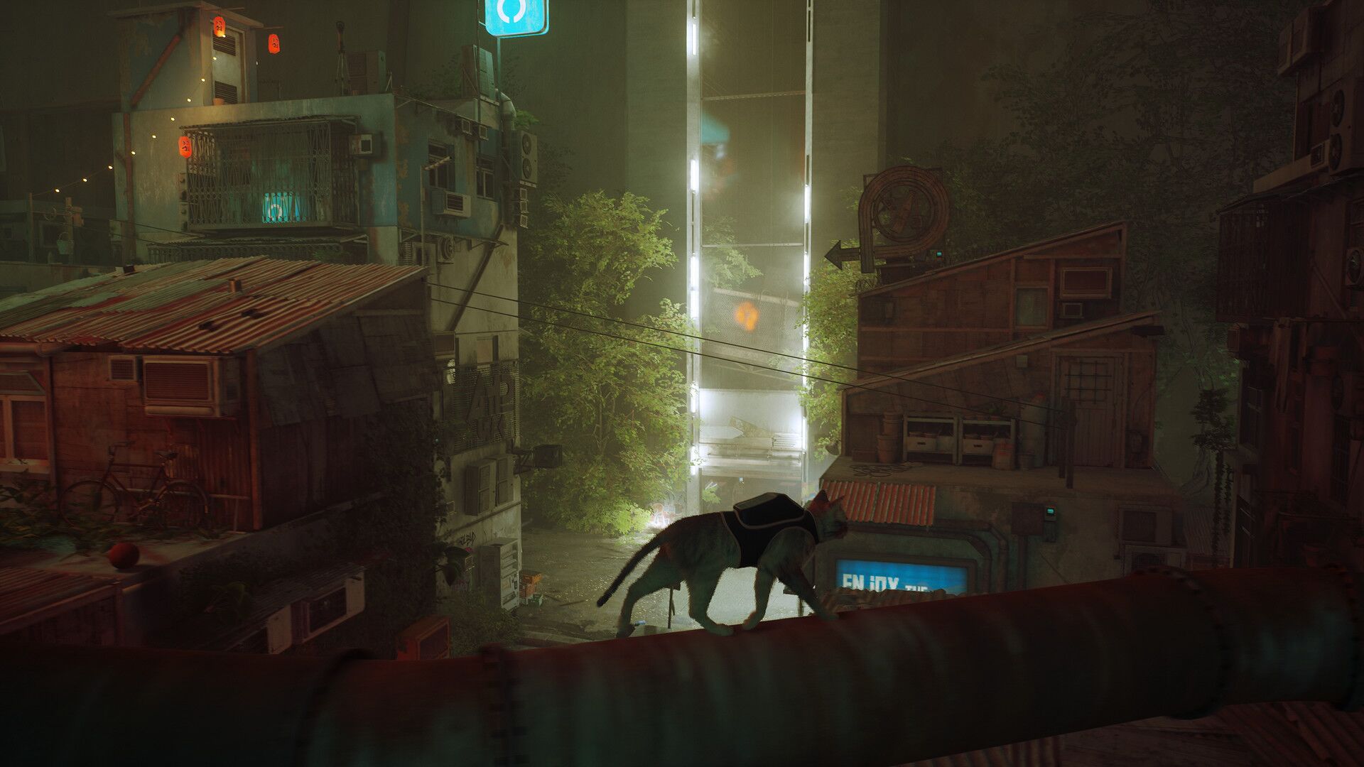 Stray Xbox One Series X|S oyun içi görsel 2