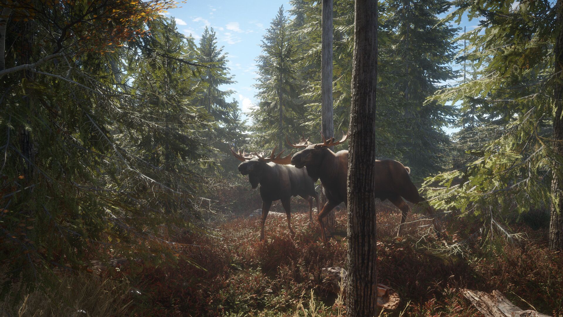 theHunter: Call of the Wild oyun içi görsel 1