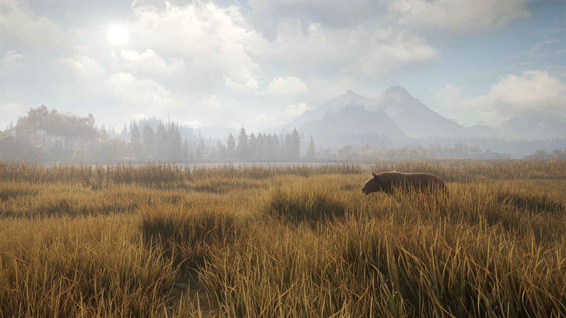 theHunter: Call of the Wild oyun içi görsel 2