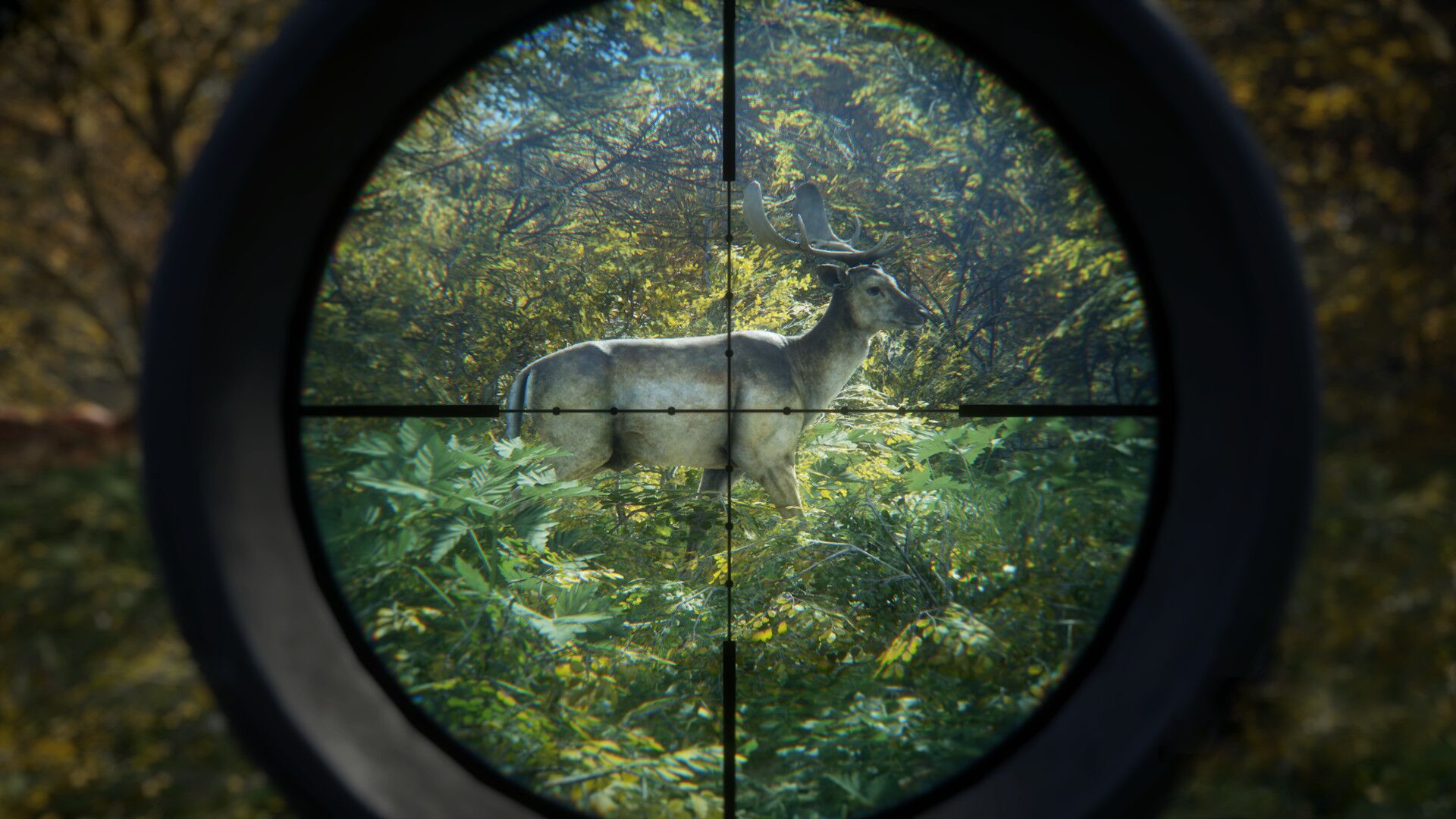theHunter: Call of the Wild oyun içi görsel 3
