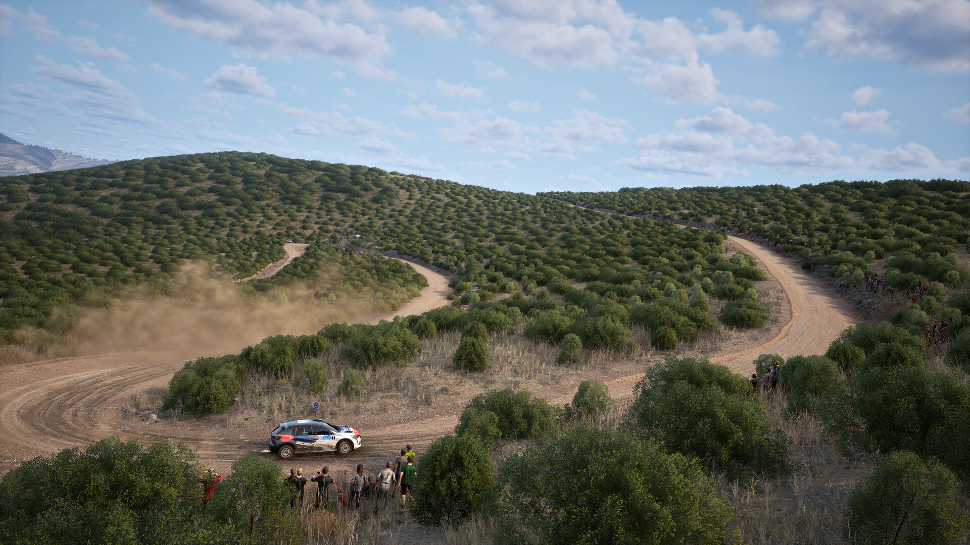 Assetto Corsa Rally oyun içi ekran görüntüsü 2