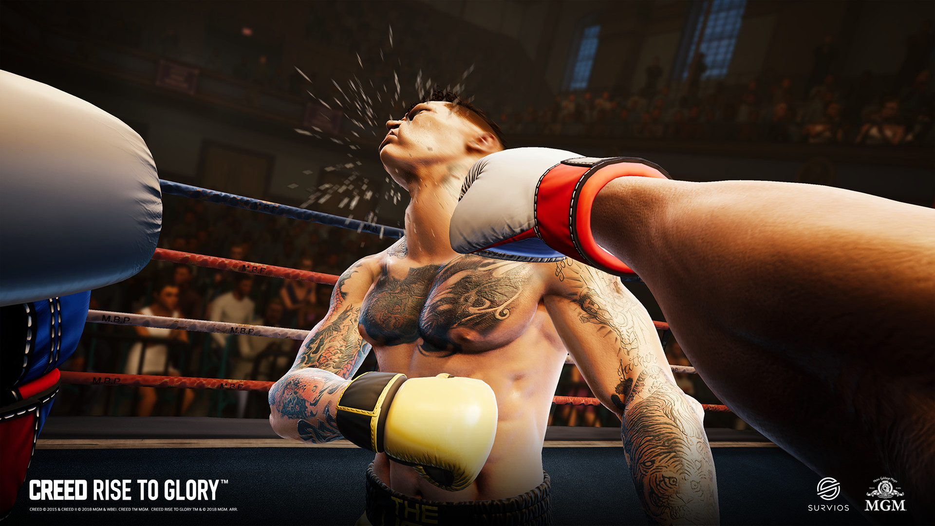 Creed: Rise to Glory™ ekran görüntüsü 3