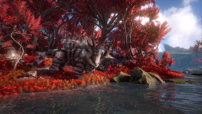 Dark and Light oyun içi ekran görüntüsü 2