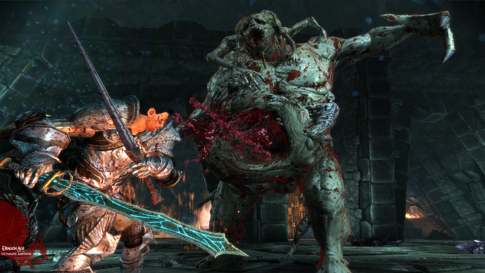 Dragon Age: Origins - Ultimate Edition ekran görüntüsü 2