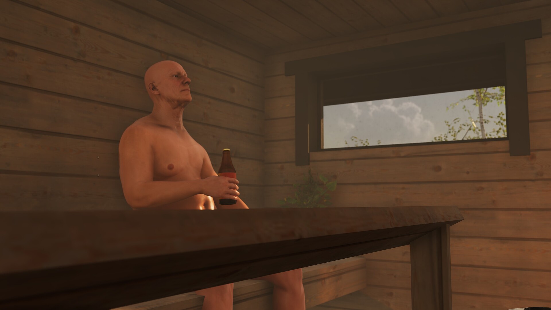 Finnish Cottage Simulator ekran görüntüsü 2