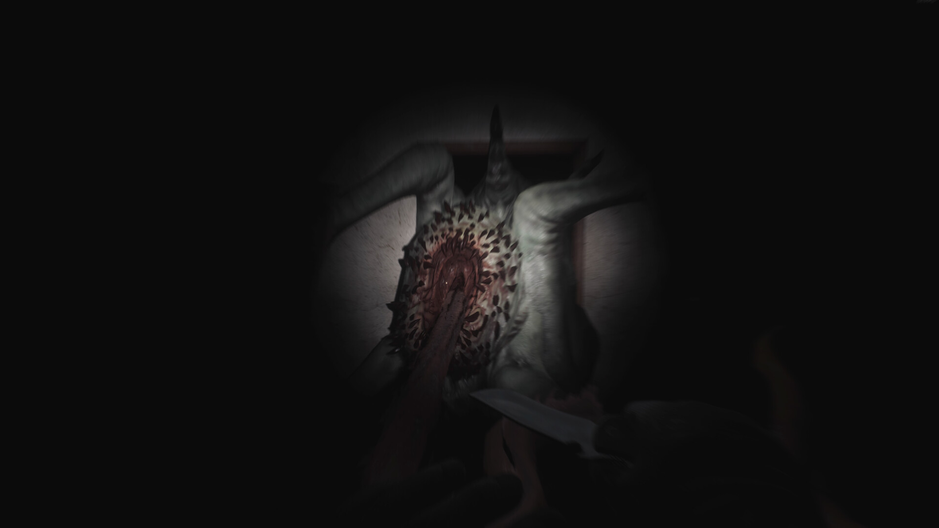 SCP: 5K ekran görüntüsü 3