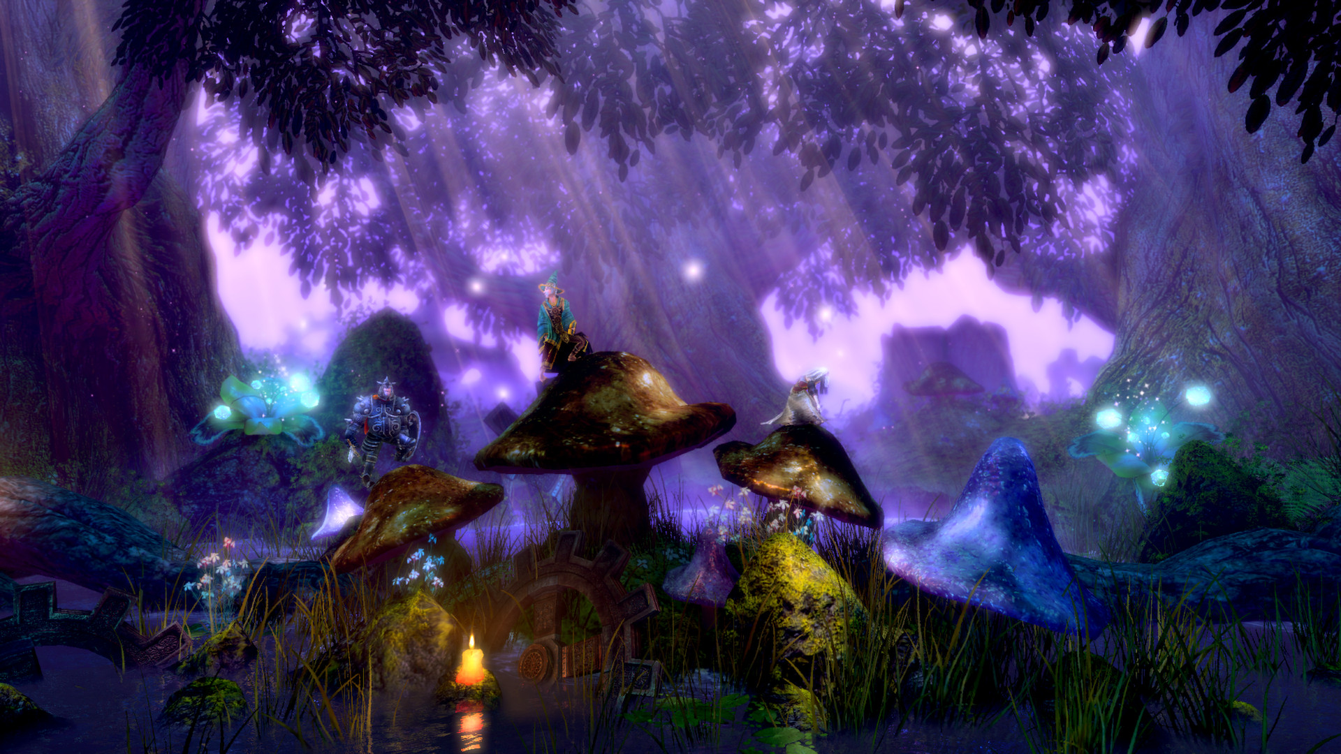 Trine Enchanted Edition oyun içi ekran görüntüsü 2