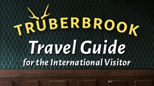 Truberbrook Steam Key ucuz satın al - Tiriniti