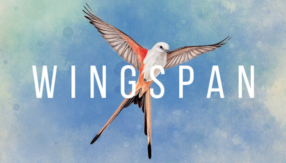 Wingspan ucuz satın al - Tiriniti
