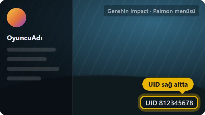 UID ve sunucu nerede yazar - Paimon menüsünde sağ altta yazan UID